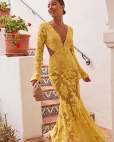 Jodie Cut Out Mesh Maxi Dress